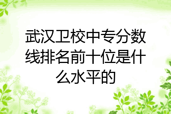 武汉卫校中专分数线排名前十位是什么水平的