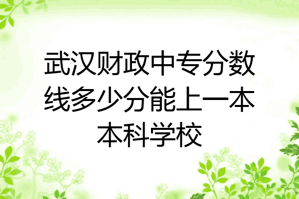 武汉财政中专分数线多少分能上一本本科学校