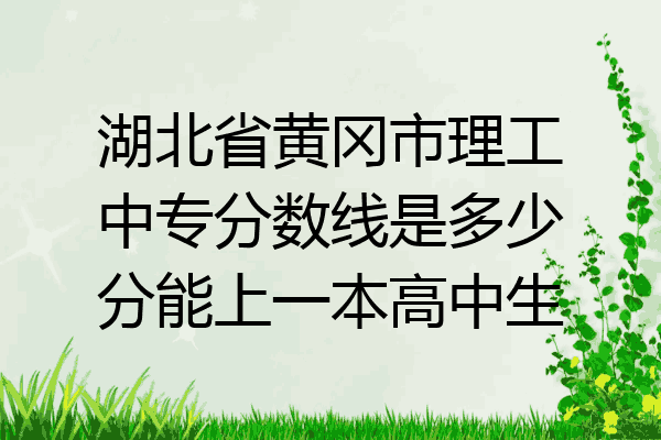 湖北省黄冈市理工中专分数线是多少分能上一本高中生