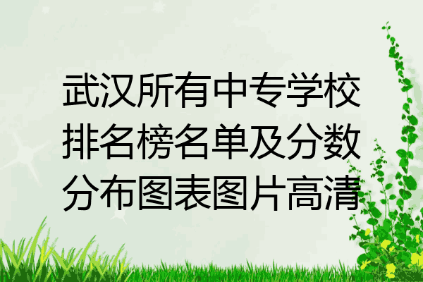武汉所有中专学校排名榜名单及分数分布图表图片高清