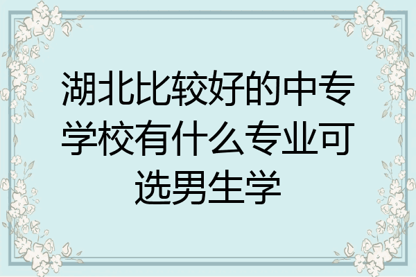 湖北比较好的中专学校有什么专业可选男生学