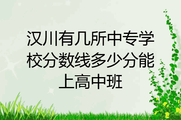 汉川有几所中专学校分数线多少分能上高中班
