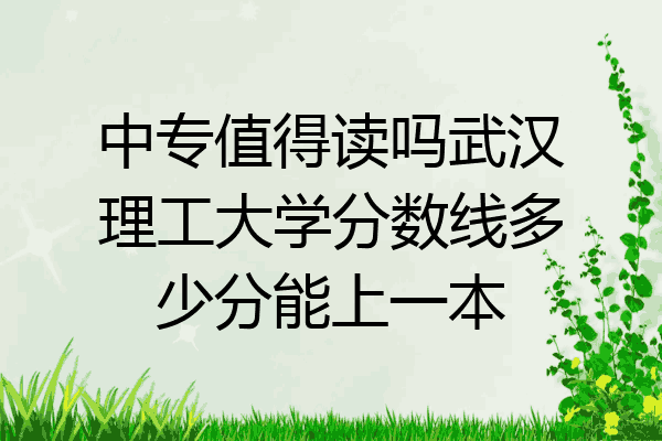 中专值得读吗武汉理工大学分数线多少分能上一本