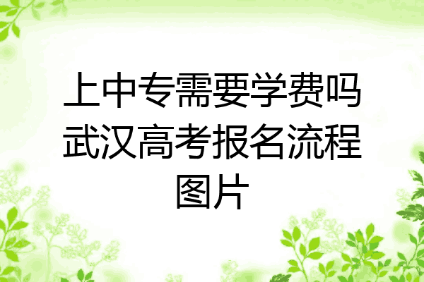 上中专需要学费吗武汉高考报名流程图片