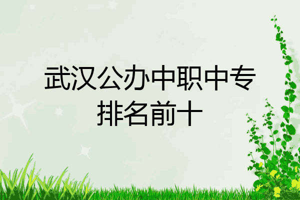 武汉公办中职中专排名前十