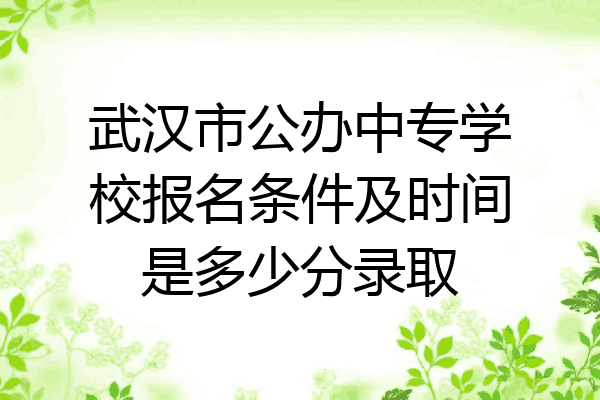 武汉市公办中专学校报名条件及时间是多少分录取