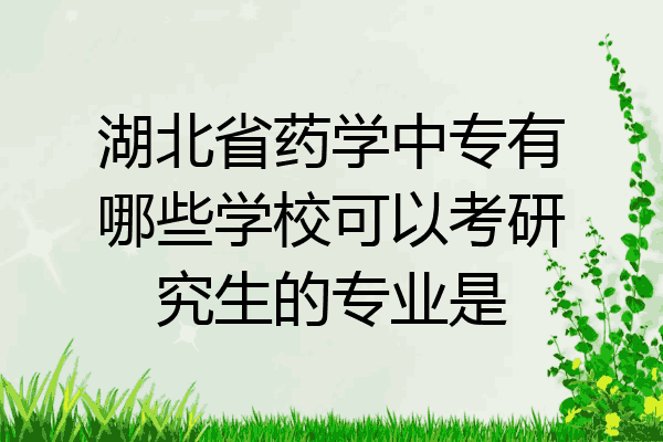 湖北省药学中专有哪些学校可以考研究生的专业是