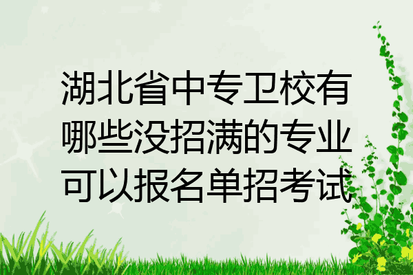 湖北省中专卫校有哪些没招满的专业可以报名单招考试