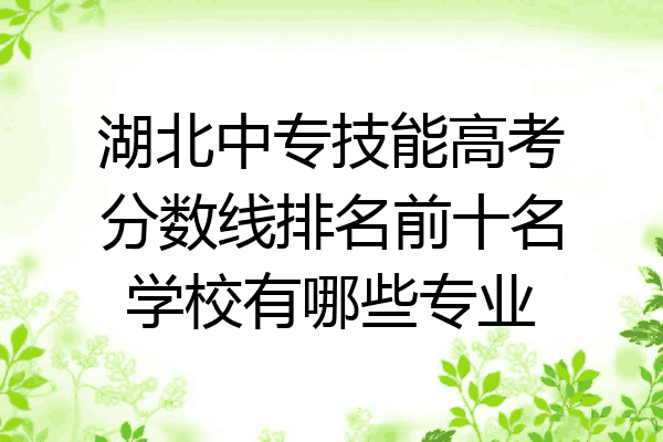 湖北中专技能高考分数线排名前十名学校有哪些专业