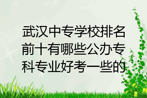 武汉中专学校排名前十有哪些公办专科专业好考一些的