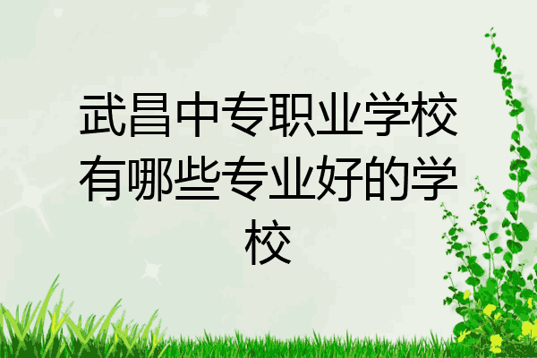 武昌中专职业学校有哪些专业好的学校