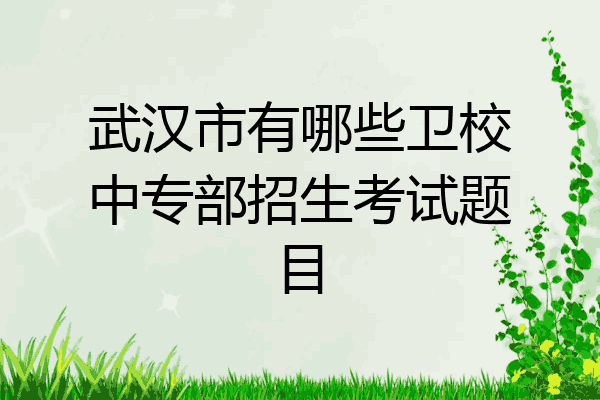 武汉市有哪些卫校中专部招生考试题目