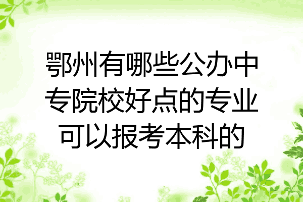 鄂州有哪些公办中专院校好点的专业可以报考本科的