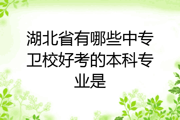湖北省有哪些中专卫校好考的本科专业是