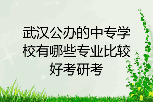 武汉公办的中专学校有哪些专业比较好考研考