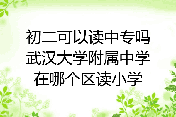 初二可以读中专吗武汉大学附属中学在哪个区读小学