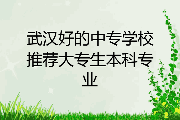 武汉好的中专学校推荐大专生本科专业
