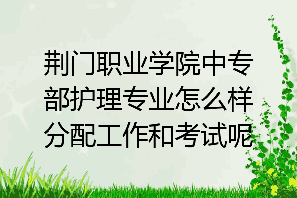 荆门职业学院中专部护理专业怎么样分配工作和考试呢
