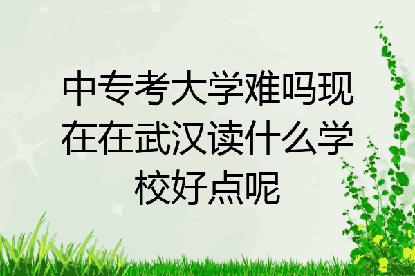 中专考大学难吗现在在武汉读什么学校好点呢