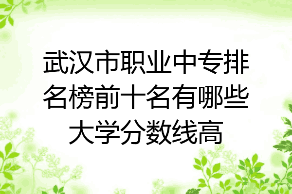 武汉市职业中专排名榜前十名有哪些大学分数线高
