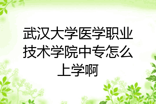 武汉大学医学职业技术学院中专怎么上学啊