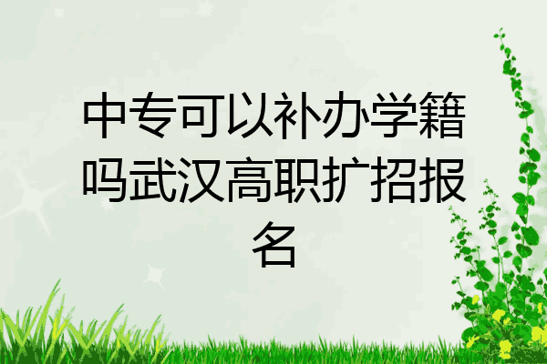 中专可以补办学籍吗武汉高职扩招报名