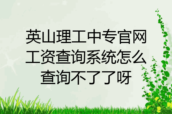 英山理工中专官网工资查询系统怎么查询不了了呀
