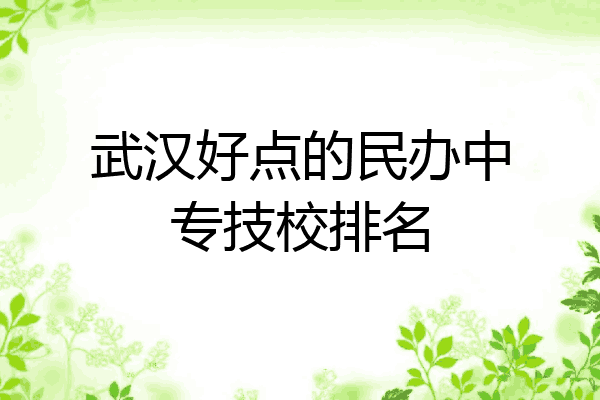武汉好点的民办中专技校排名