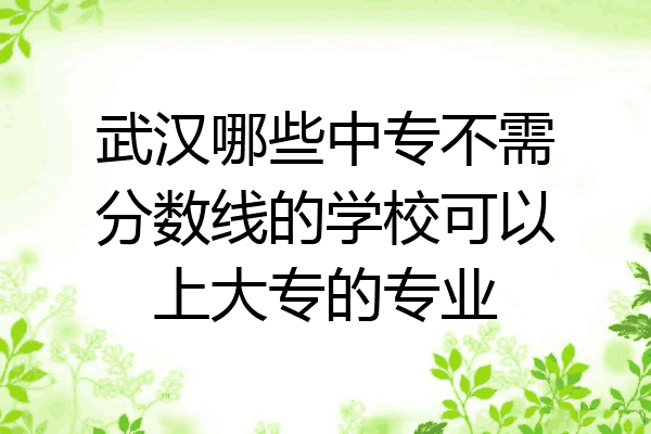 武汉哪些中专不需分数线的学校可以上大专的专业