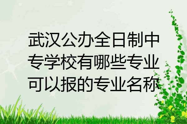 武汉公办全日制中专学校有哪些专业可以报的专业名称
