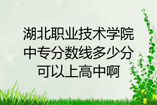 湖北职业技术学院中专分数线多少分可以上高中啊
