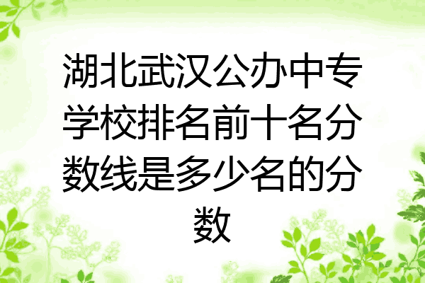 湖北武汉公办中专学校排名前十名分数线是多少名的分数