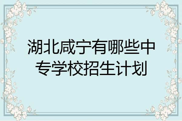 湖北咸宁有哪些中专学校招生计划
