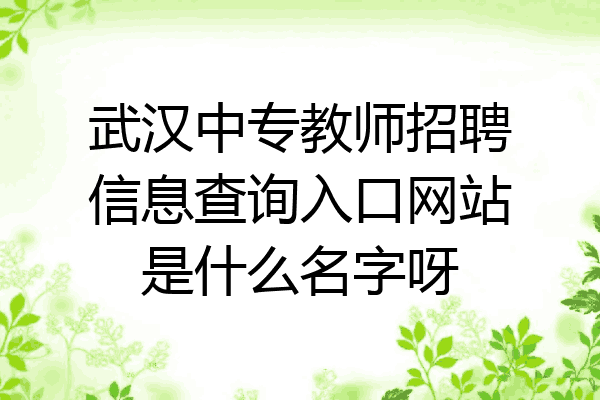 武汉中专教师招聘信息查询入口网站是什么名字呀