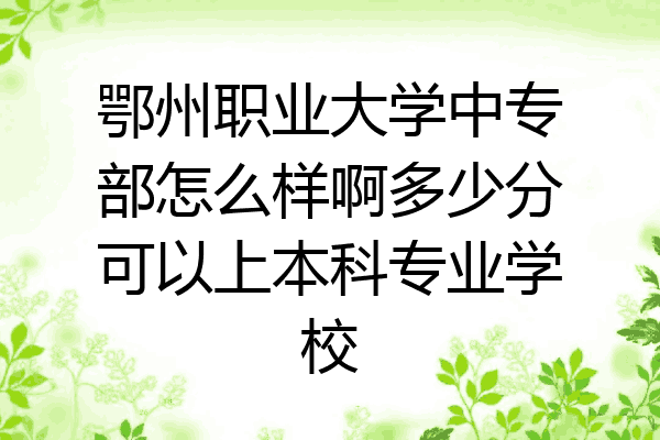 鄂州职业大学中专部怎么样啊多少分可以上本科专业学校