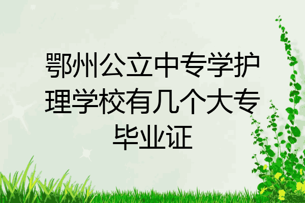 鄂州公立中专学护理学校有几个大专毕业证