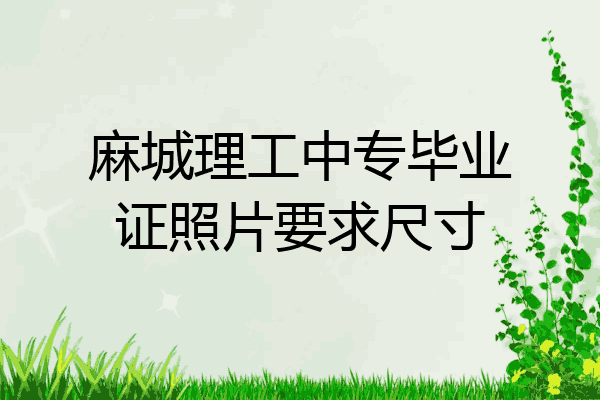麻城理工中专毕业证照片要求尺寸
