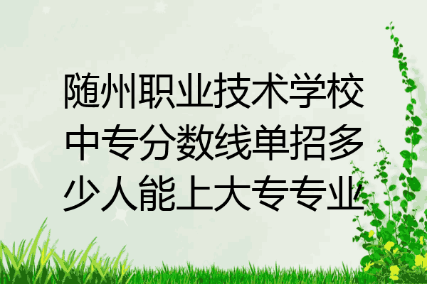 随州职业技术学校中专分数线单招多少人能上大专专业