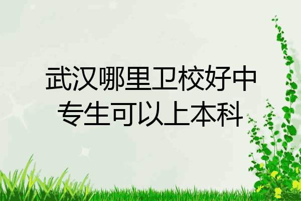 武汉哪里卫校好中专生可以上本科