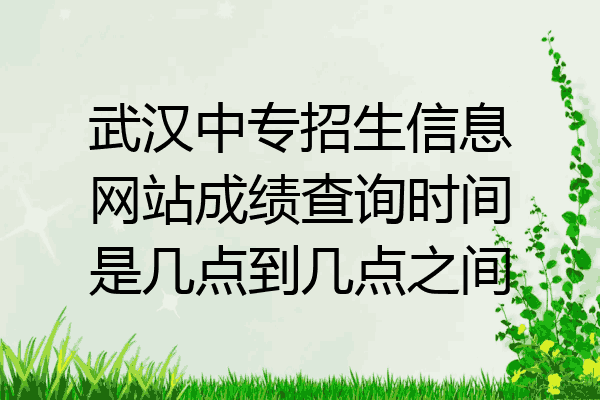 武汉中专招生信息网站成绩查询时间是几点到几点之间