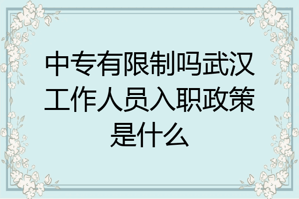 中专有限制吗武汉工作人员入职政策是什么