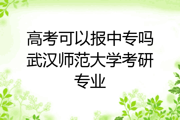 高考可以报中专吗武汉师范大学考研专业