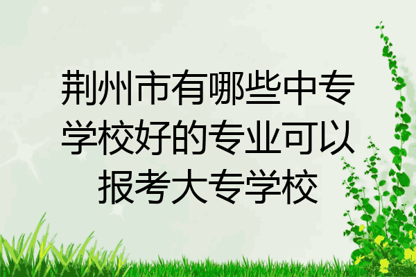荆州市有哪些中专学校好的专业可以报考大专学校