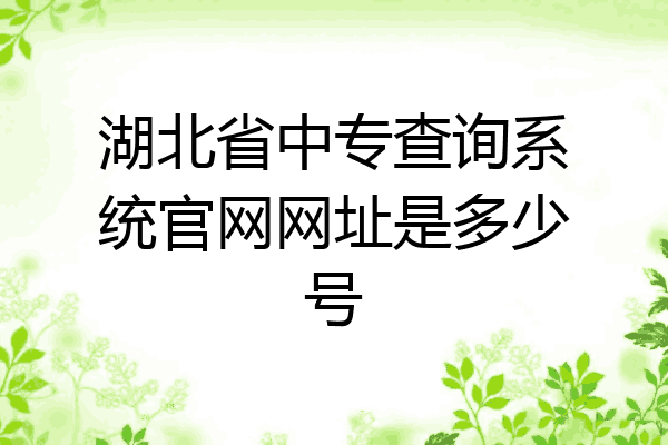 湖北省中专查询系统官网网址是多少号