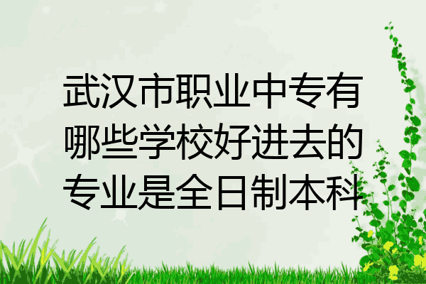 武汉市职业中专有哪些学校好进去的专业是全日制本科