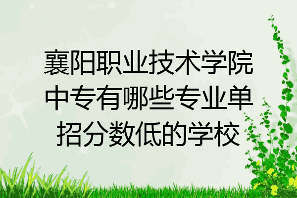 襄阳职业技术学院中专有哪些专业单招分数低的学校