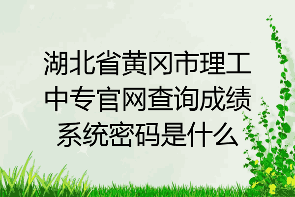 湖北省黄冈市理工中专官网查询成绩系统密码是什么