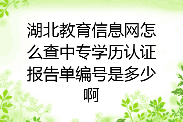 湖北教育信息网怎么查中专学历认证报告单编号是多少啊