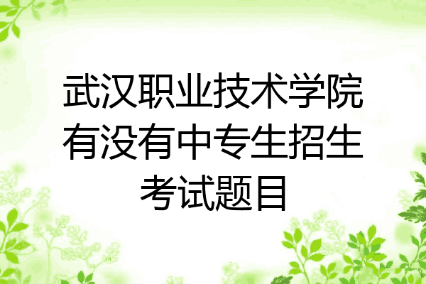 武汉职业技术学院有没有中专生招生考试题目