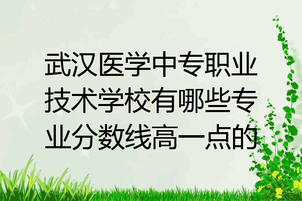 武汉医学中专职业技术学校有哪些专业分数线高一点的
